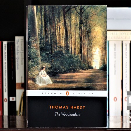 Cover image of The Woodlanders, a novel by Thomas Hardy