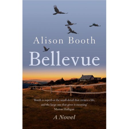 Cover image of Bellevue by Alison Booth