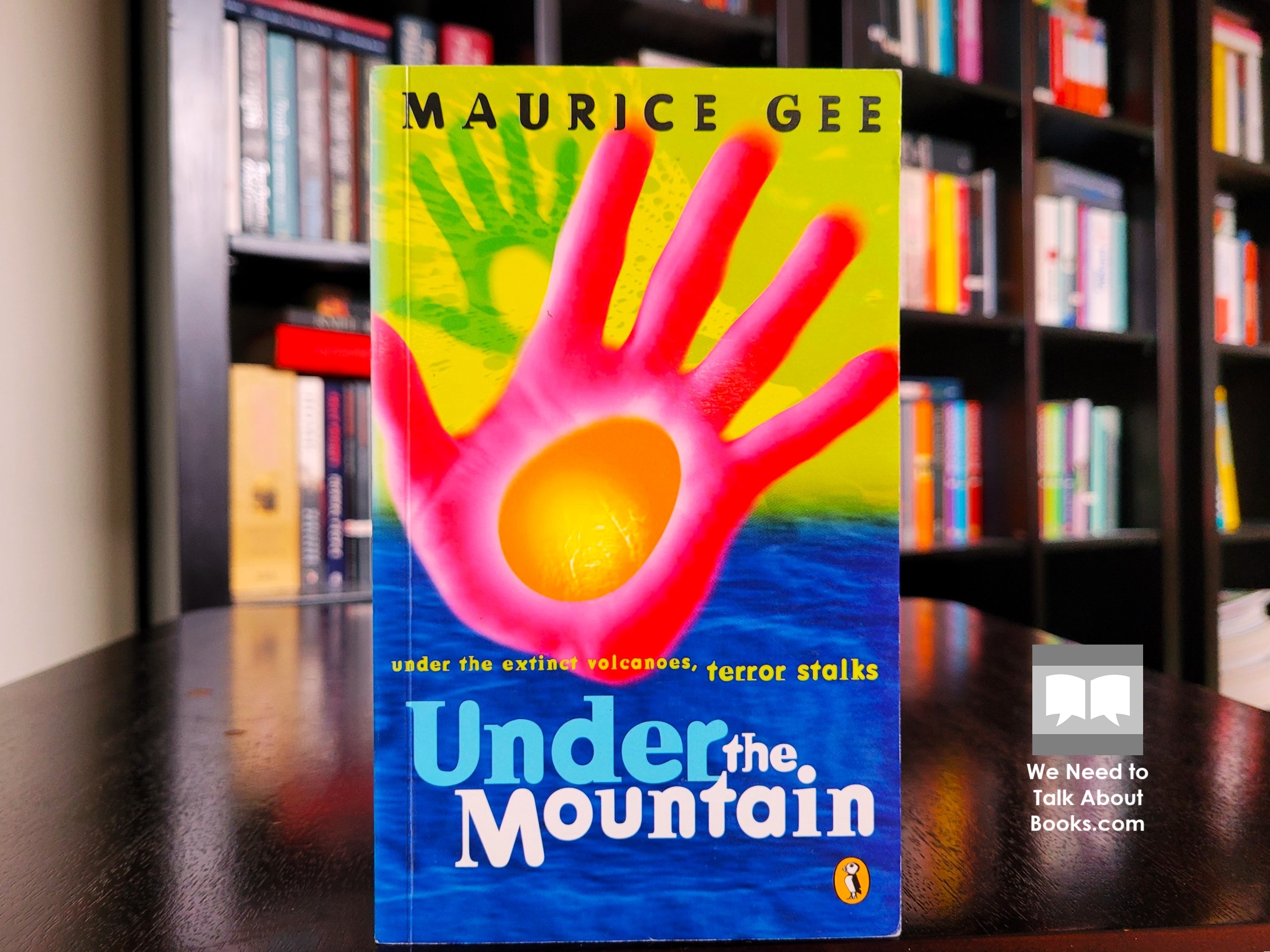 Cover image of Under the Mountain by Maurice Gee