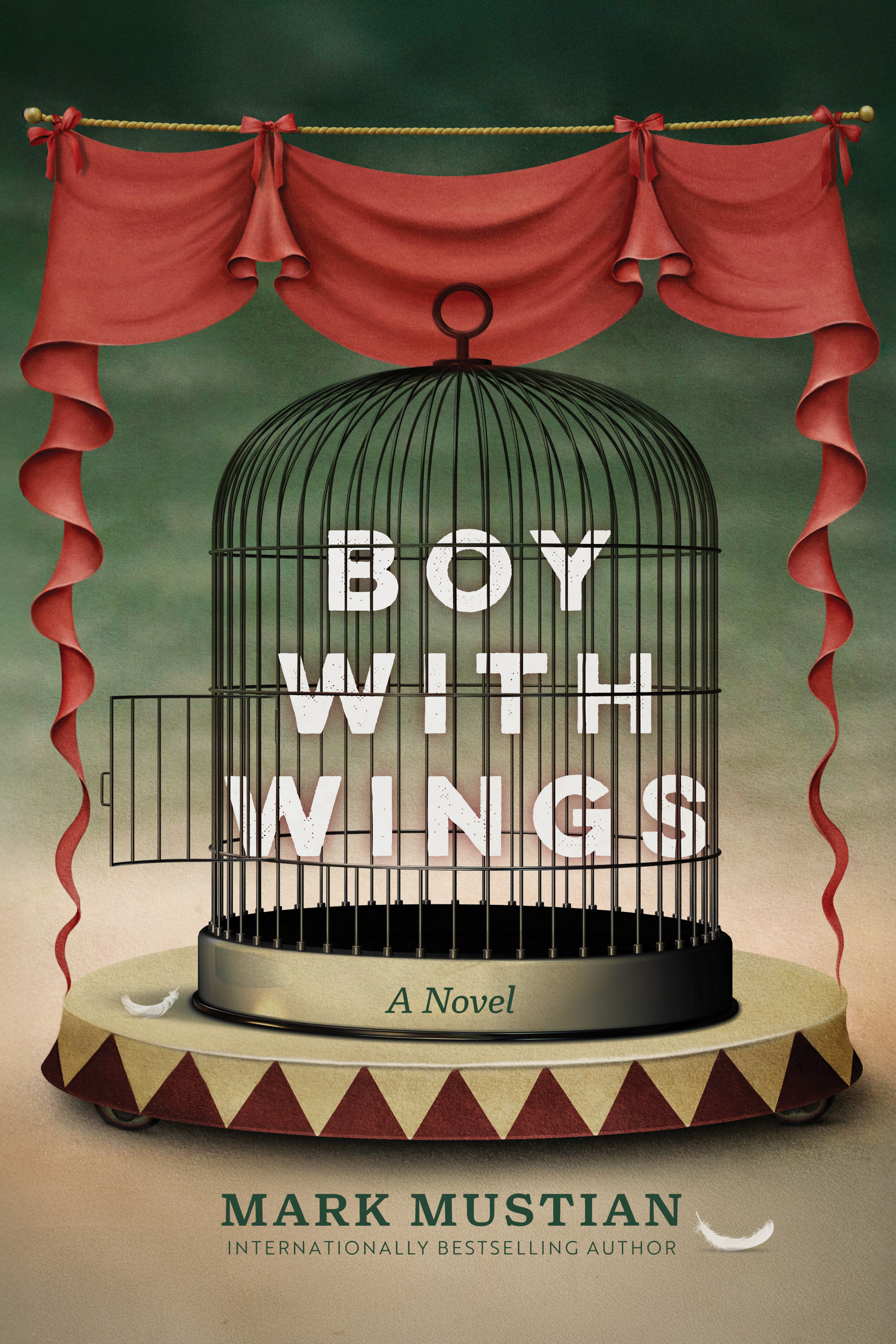 Cover image of Boy With Wings by Mark Mustian